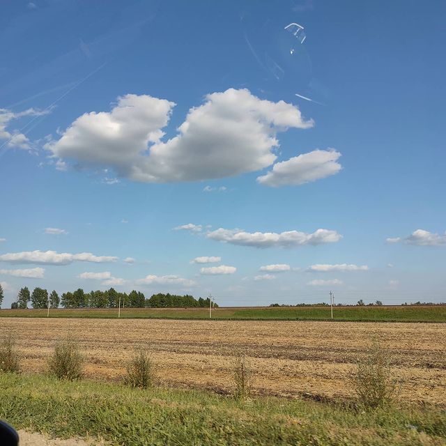 julia_shmaraeva в LOOKY. . Воскресная рыбалочка