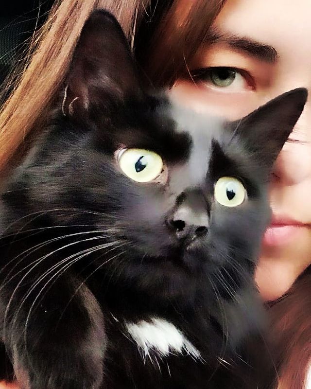 cute_marcus_cat в LOOKY. #прикол,#кошкамоя,#путешествие. Страшно интересно! #...