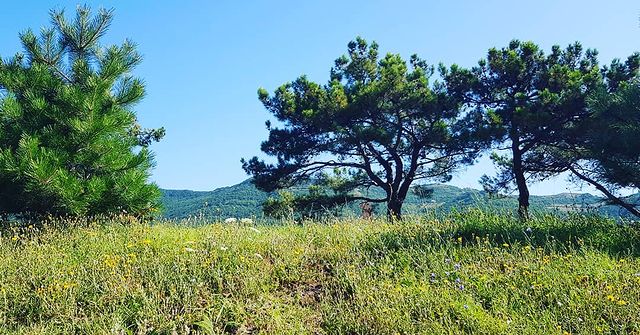 elhan09martinovic в LOOKY. . горы⛰🏔⛰