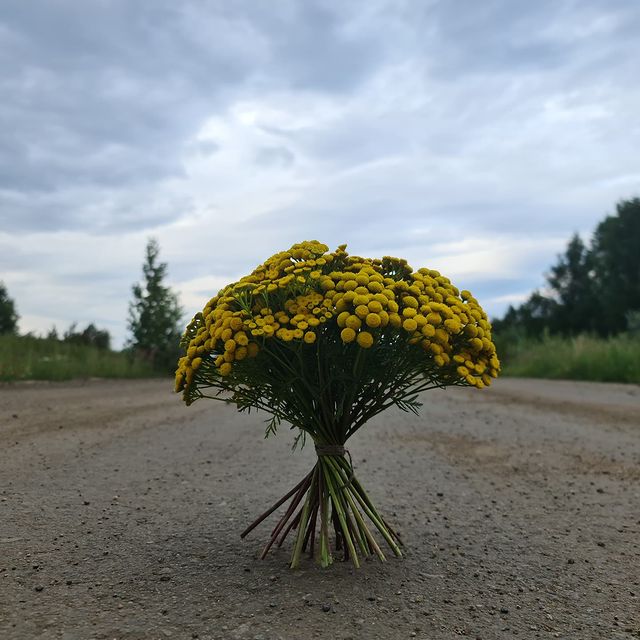 alexannushka в LOOKY. . По дороге с облаками...
