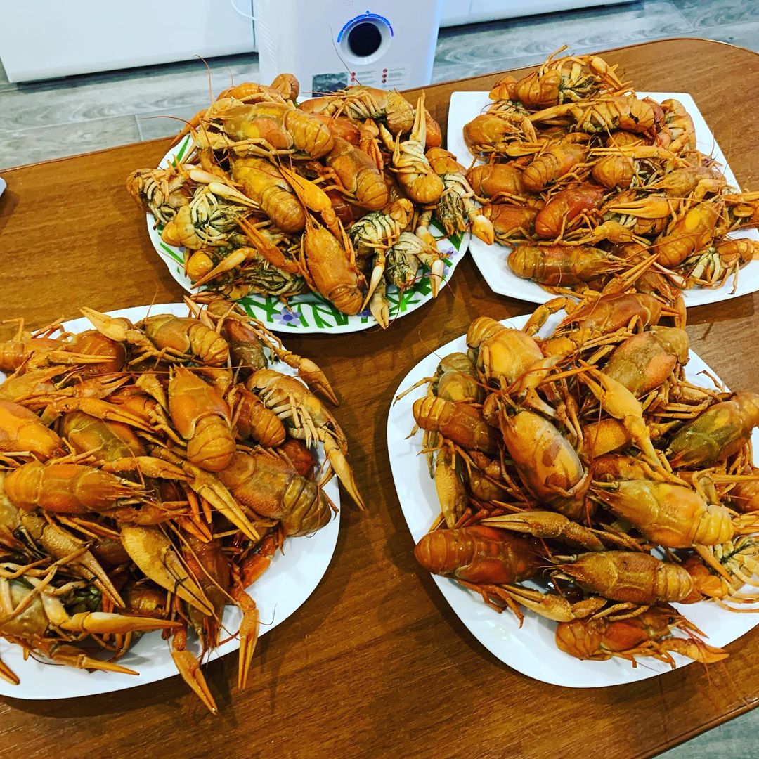 Люблю их очень😋