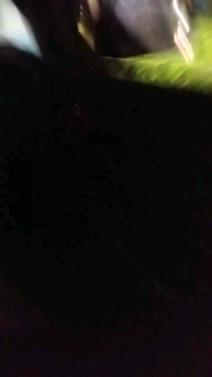 a.n.stsha в LOOKY. . null