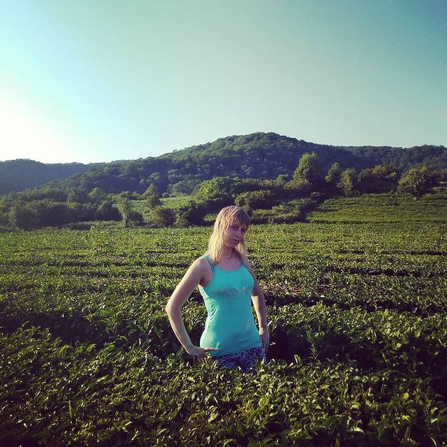 elenka239012 в LOOKY. #сочи2021. Чайная плантация под...