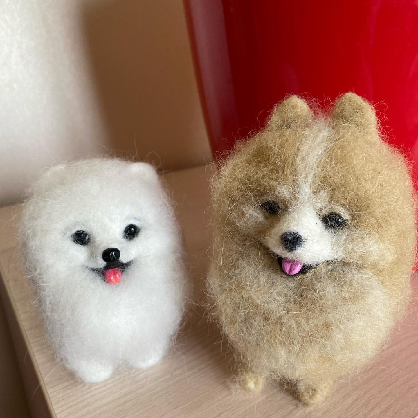gracie_the_pomeranian в LOOKY — фото 3