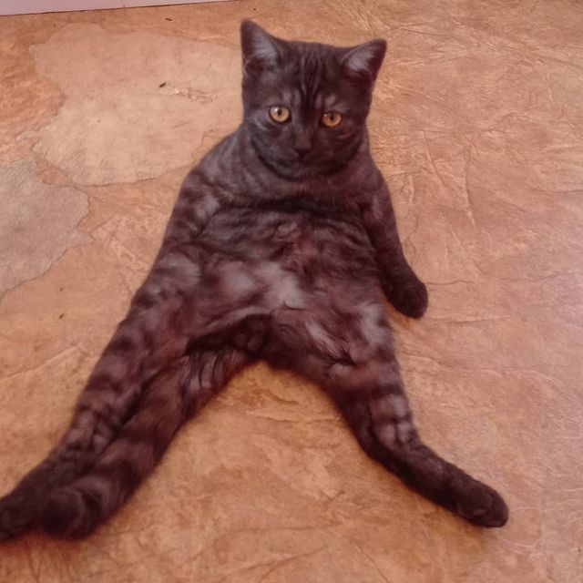 katerinka_208 в LOOKY. . 🤣