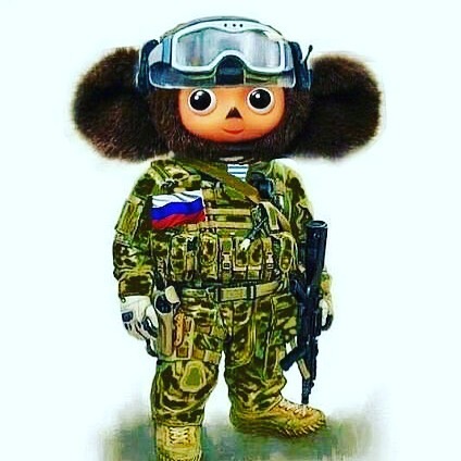#день_вдв#слававдв