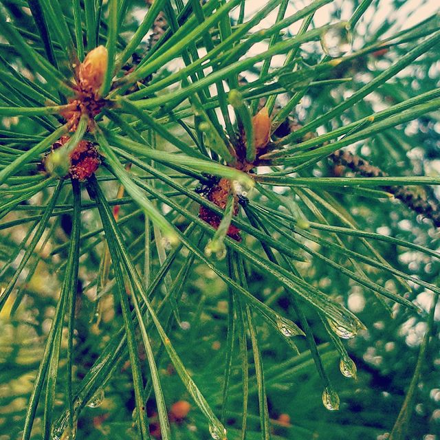 na_tashai5 в LOOKY. #lowewhereyuolive,#likeforlike,#follow,#instadaily,#followme,#follow4follow,#beautiful,#summer,#smile,#follow4follow,#красивыекартинки,#beautiful,#fun,#beautiful,#россия. #lowewhereyuolive #l...