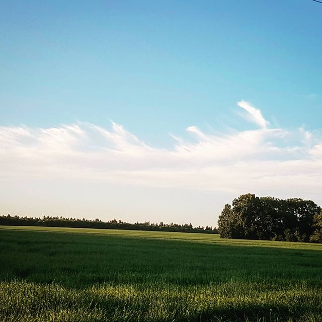 na_tashai5 в LOOKY. #lowewhereyuolive,#likeforlike,#follow,#instadaily,#followme,#follow4follow,#beautiful,#summer,#smile,#follow4follow,#красивыекартинки,#beautiful,#fun,#beautiful,#россия. #lowewhereyuolive #l...