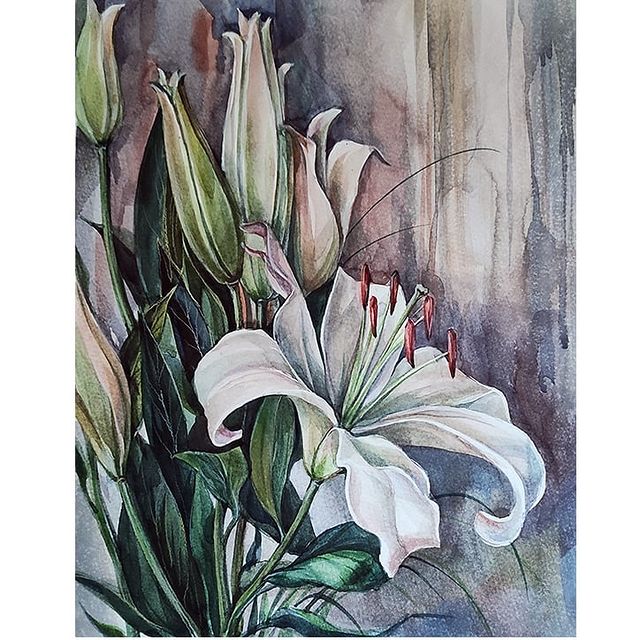 natashushkevich в LOOKY. #watercolorart,#watercolorflowers,#цветыакварелью,#пастель_акварель_цветы,#артмарафон,#артчеллендж,#яхудожник,#люблюрисовать,#рисуюдлядуши. Лилии акварелью. 🌸�...