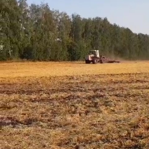 aleksandra_maevskaya_ в LOOKY. #🚜,#уборочная,#вразгаре,#мои,#трудяги. #🚜 #уборочная #враз...