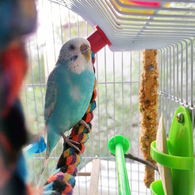 kotya_cat_khv в LOOKY. . Пока я на каникулах,...