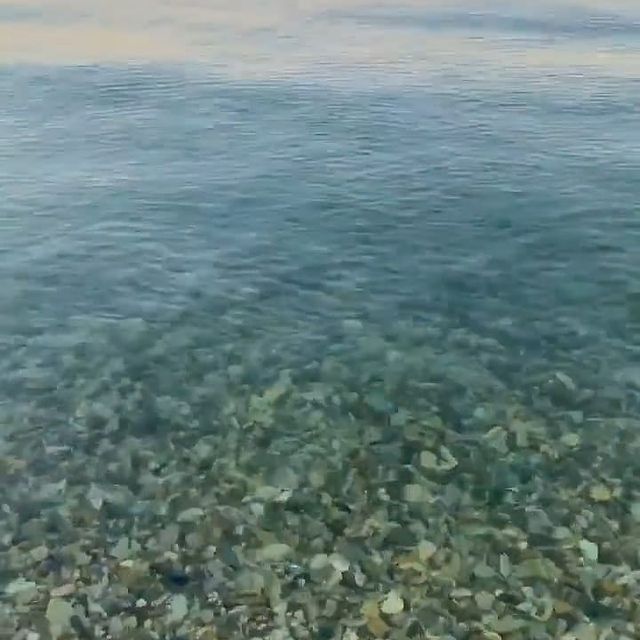 aigylya_dav в LOOKY. . null
