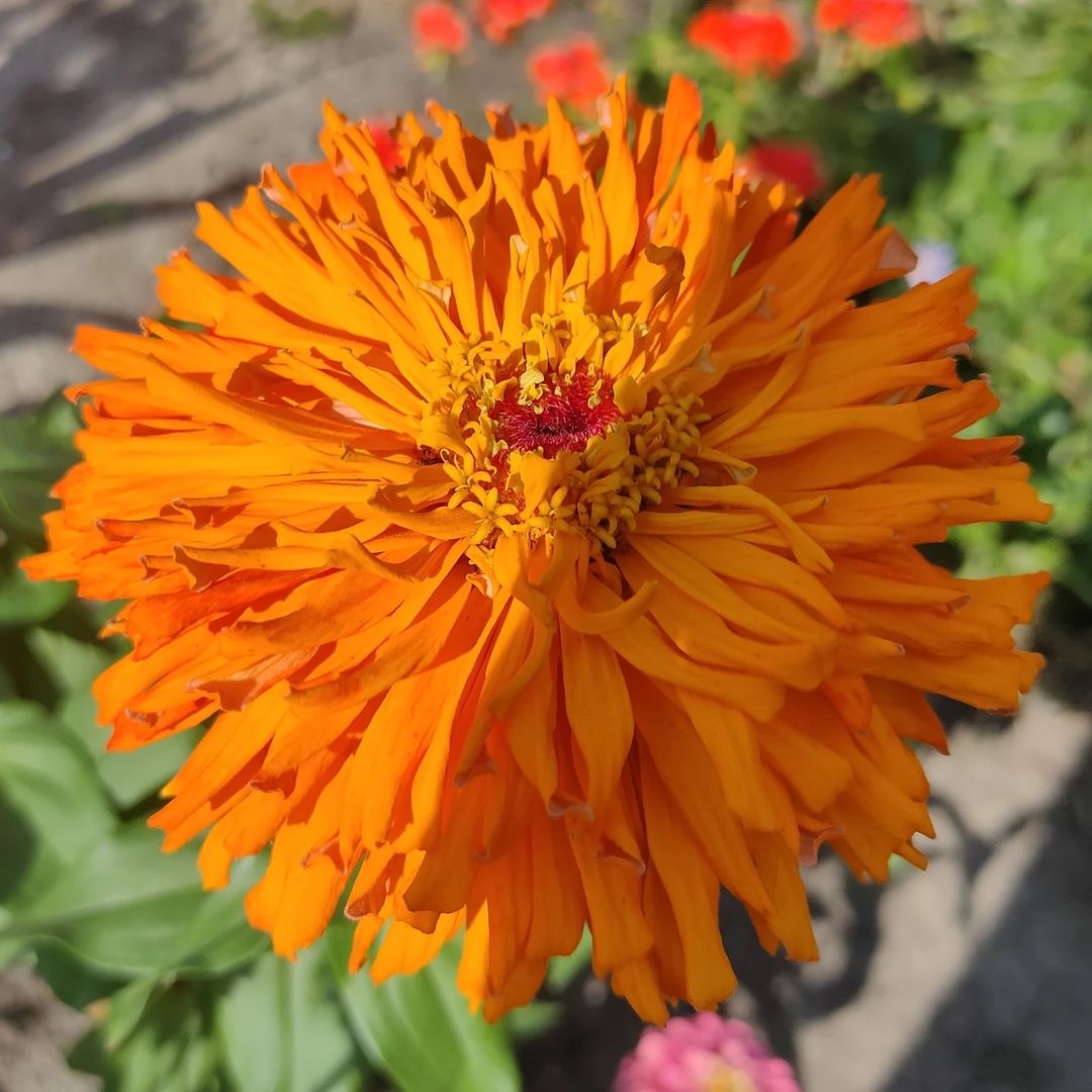 sekret_natali в LOOKY — фото 7