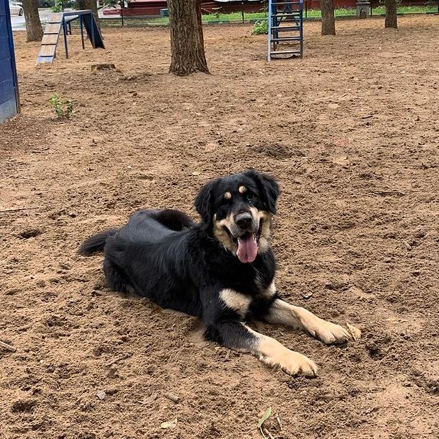 nio_66 в LOOKY. . Яська-улыбаська! Поз...