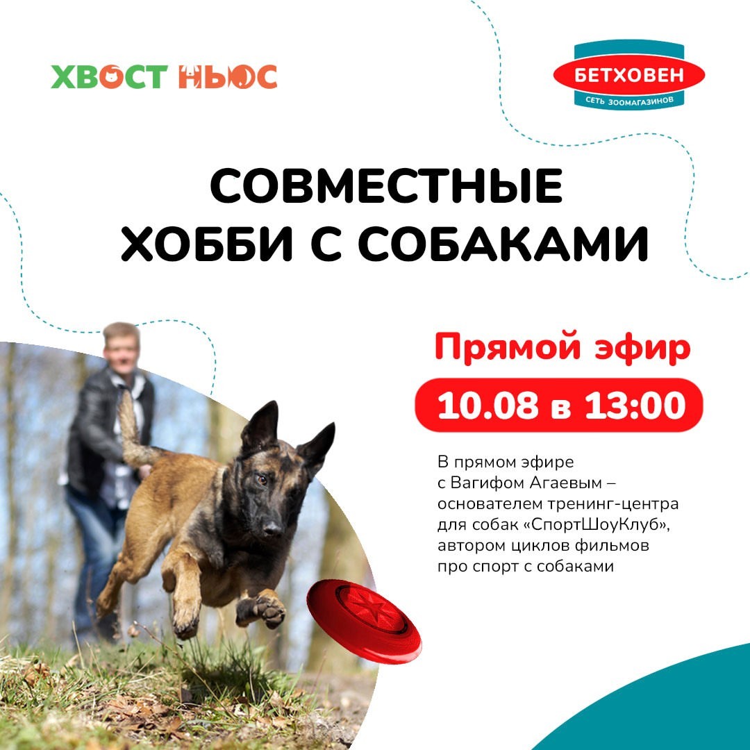 zoobethowen в LOOKY — Совместные хобби с собаками. 

10 августа в 13:00
Состоится 