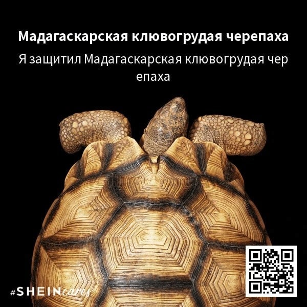 galinok1986 в LOOKY — #sheincares