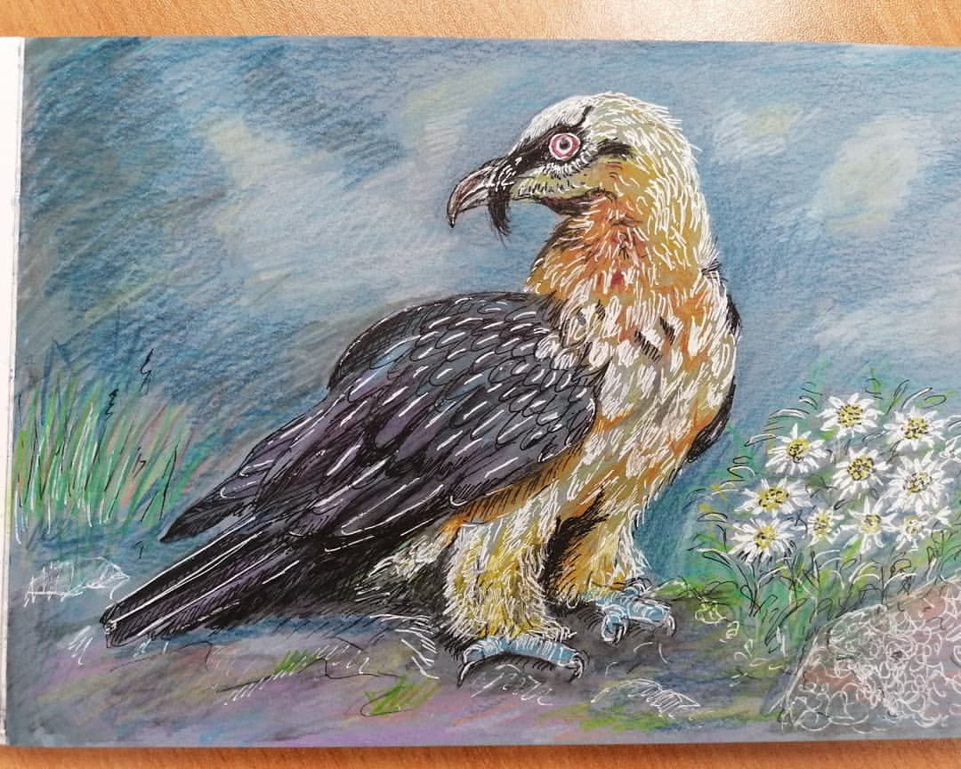 sashka_cheburashka_art в LOOKY — фото 2