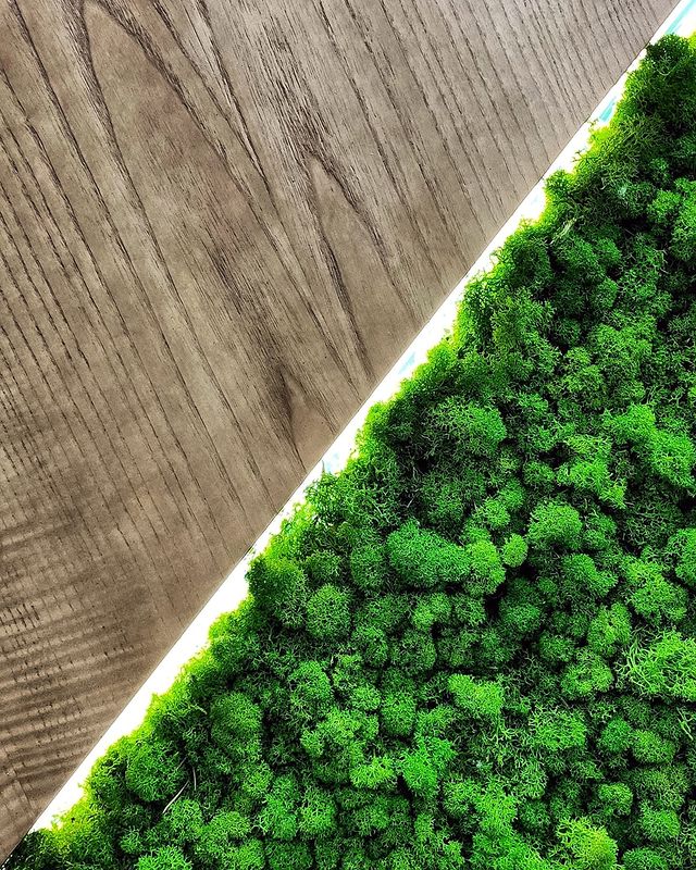 fiyorudo в LOOKY. #nature,#office,#moss,#wood. Небольшие кусочки ле...
