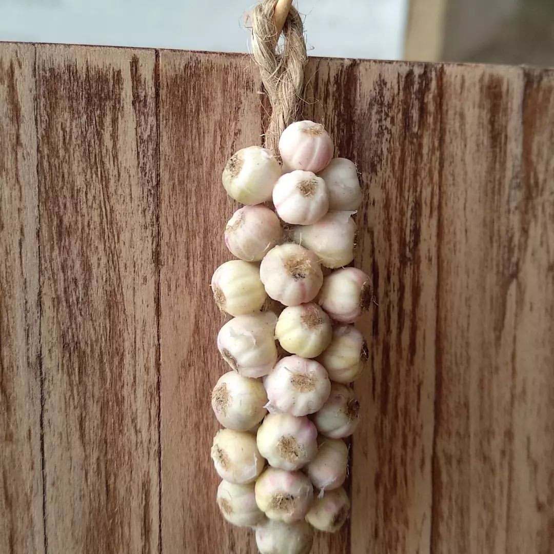 A bunch of garlic for the interior of a kitchen or a country house. 1/12 scale. More different bunches coming)))
Связка чеснока для интерьера кухни или деревенского дома. Масштаб 1/12. Больше вариантов связок в планах)
.
.
#miniature #dollhouse