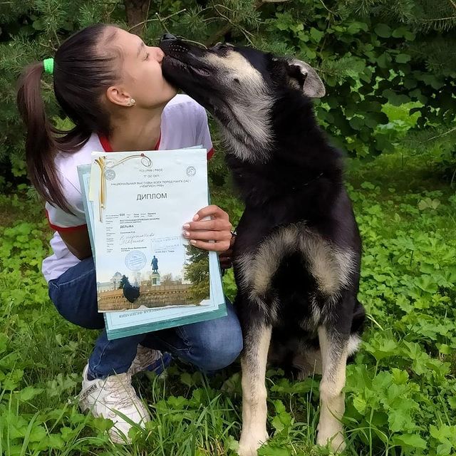 angara_69 в LOOKY. #Лучший. #Лучший щенок#это то...