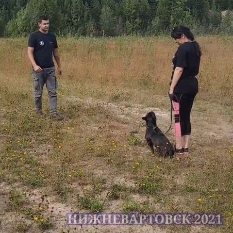 dressirovka_nv in LOOKY. . Альбина и любимец пу...