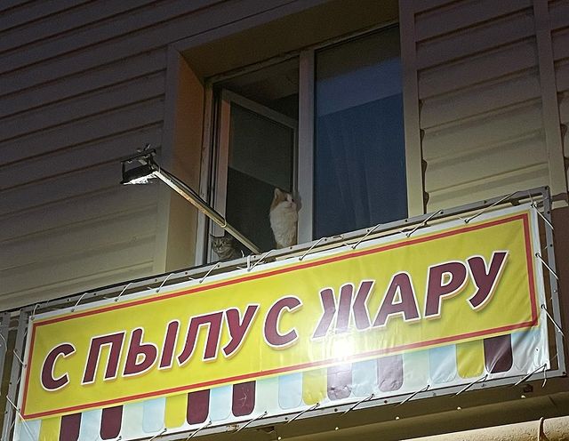 rusindorf в LOOKY. . null