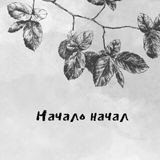 stella_1_numerolog в LOOKY. . Я родился!
⠀
Заявляе...