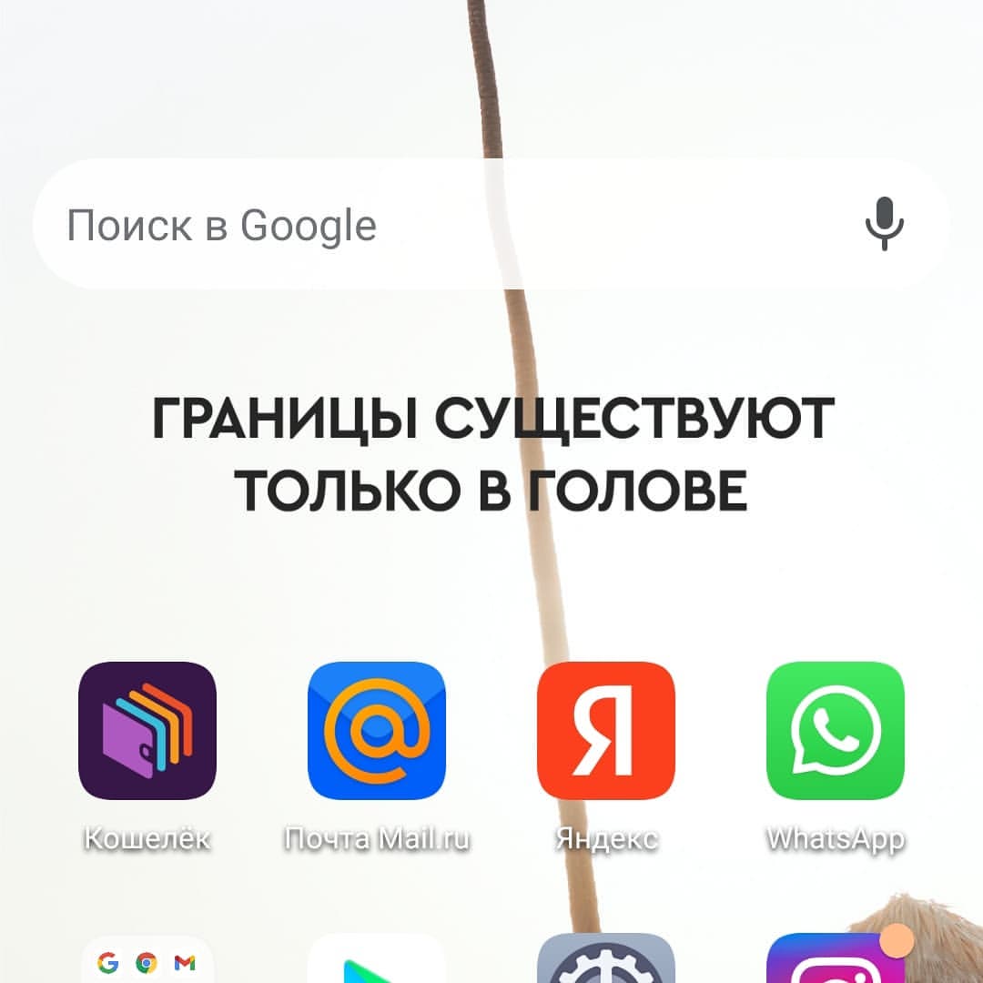  в LOOKY — публикация
