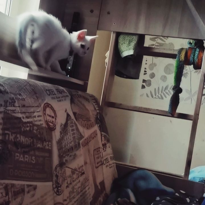 sad_los в LOOKY. . И так каждое утро) 
...