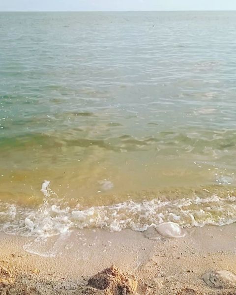 nastya_fiery_kitsune в LOOKY. . 🌊🏖️🌅