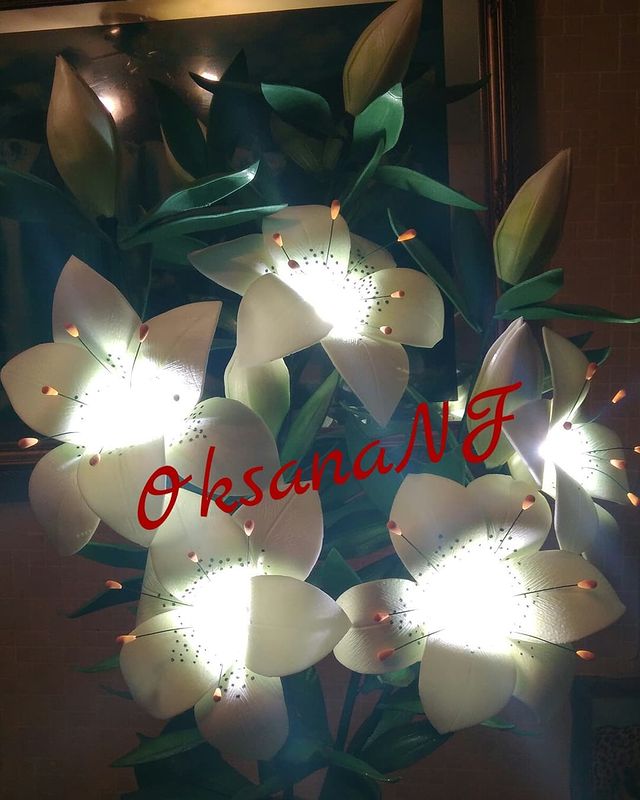 ok_sana5239 в LOOKY. #светильник,#изолон,#Москва,#ручнаяработа,#назаказ,#ростовые,#большиецветы,#НароФоминск,#доставкавлюбойгород,#вышивканазаказ,#пошивнавыписку,#бортикиконверты. И немного из будущег...