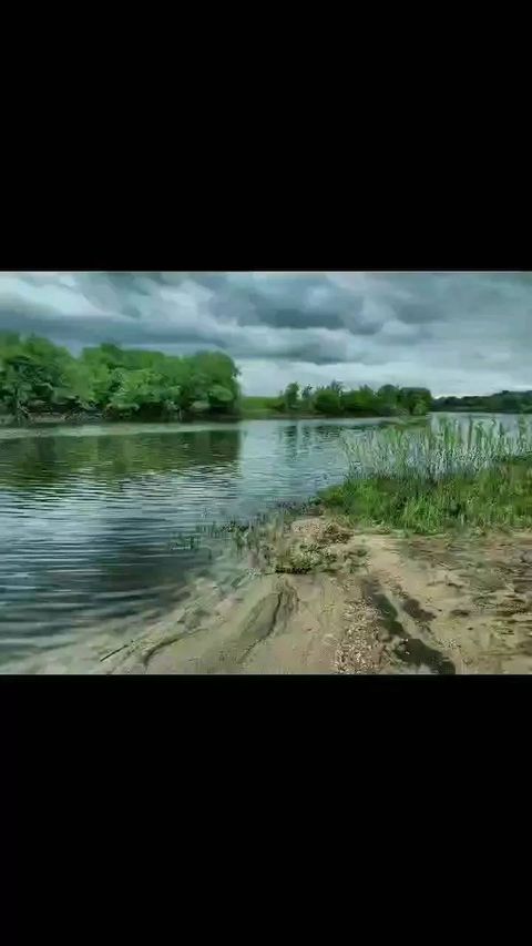 ivanov.anton.vasilevich в LOOKY. . Солотча, Рязанская о...
