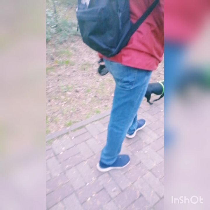 koptena в LOOKY. . null