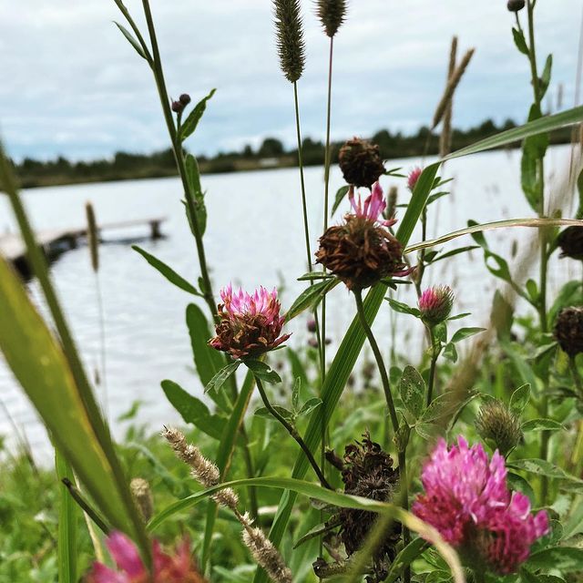 balbatunov.in в LOOKY. #природа#живописныеместа#нашкрай#красота. #природа#живописныем...