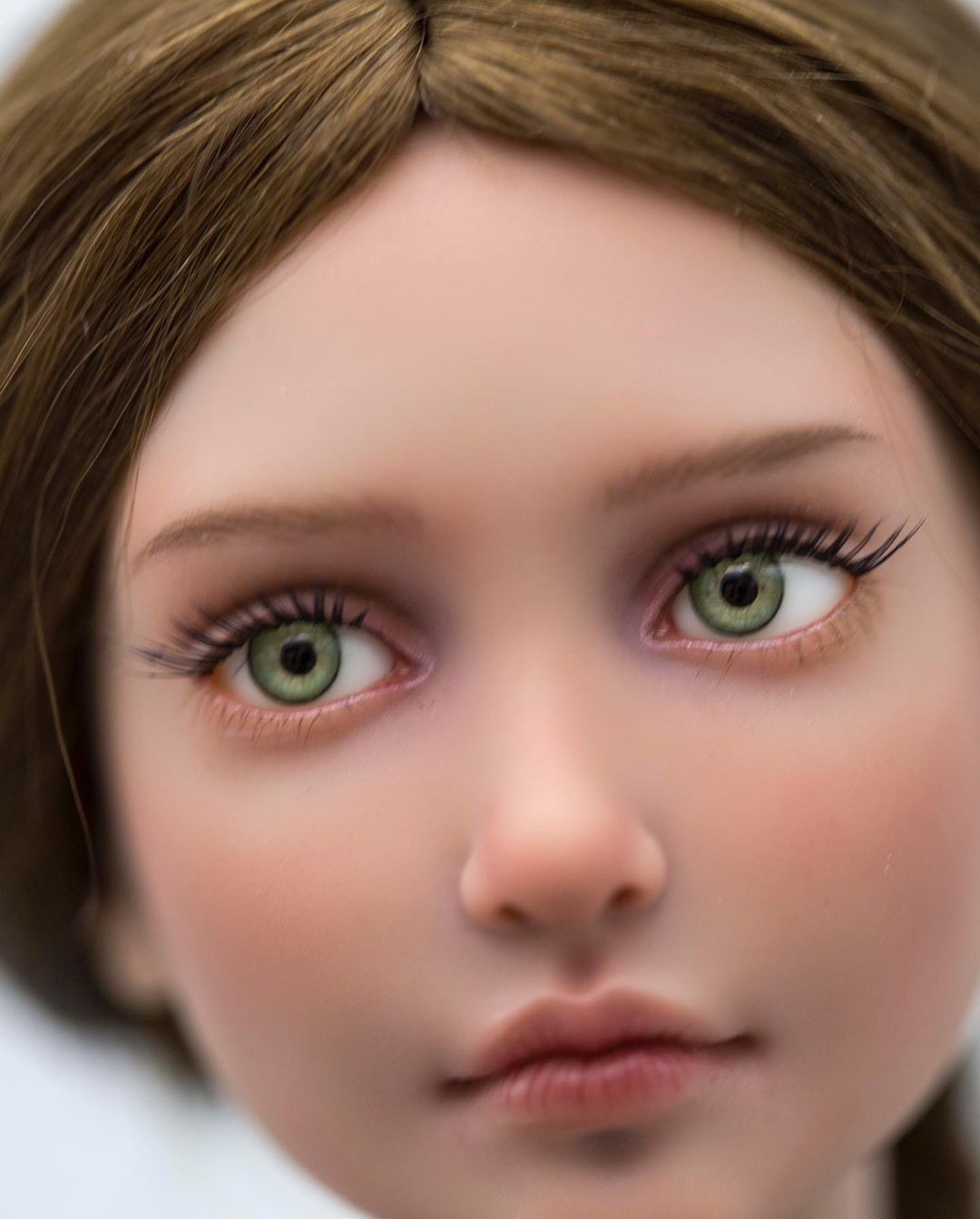 tender_creation в LOOKY — фото 5