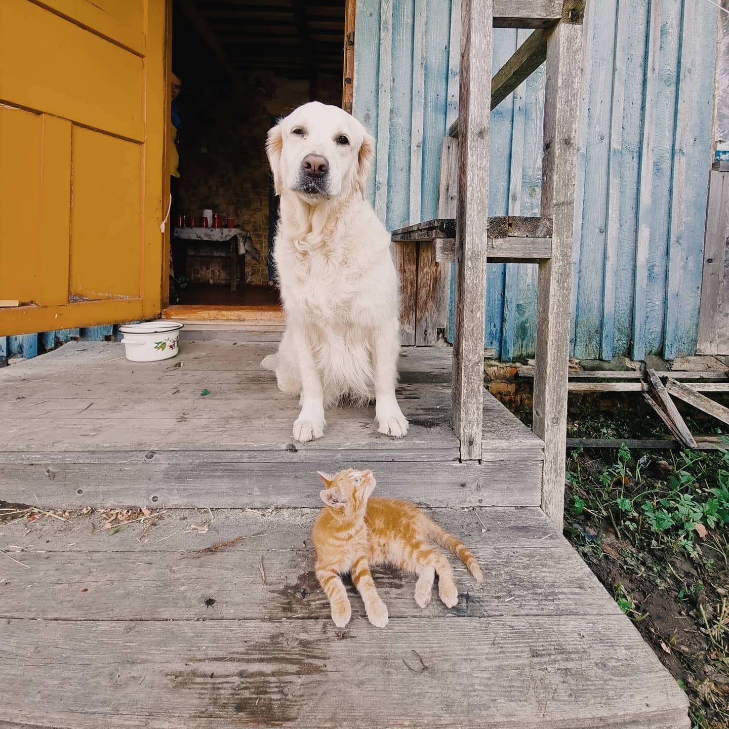 olya_and_maya в LOOKY. . Друзьяшки ❤️