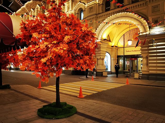 sladkaya___zhizn в LOOKY. . null