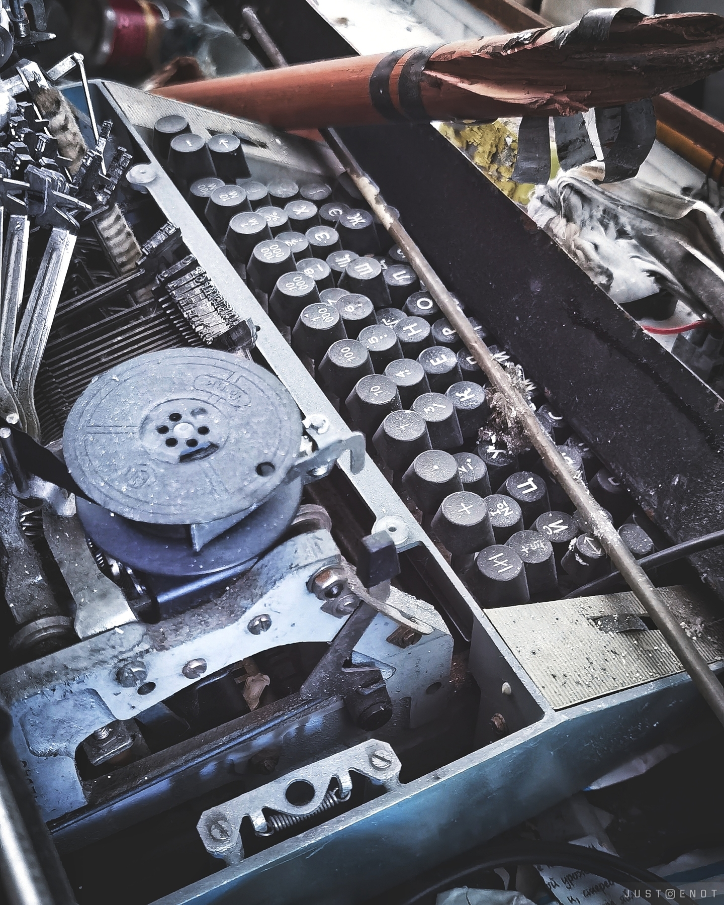 just.enot в LOOKY — фото 9