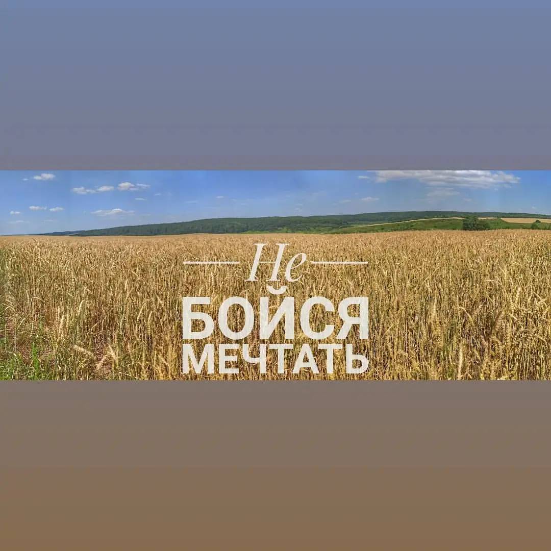 a1exfebruary в LOOKY — То о чëм ты всегда мечтаешь, обязательно сбудется. Верь, гла