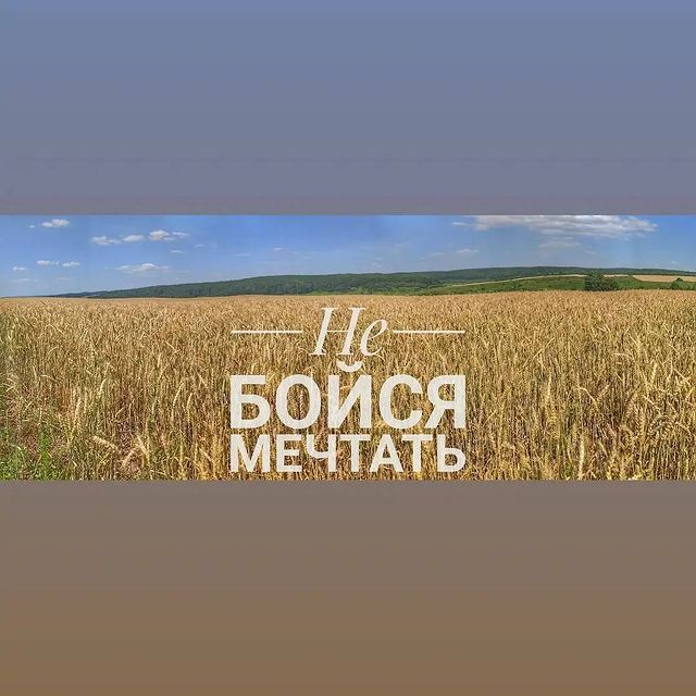 a1exfebruary в LOOKY. #фото,#природа,#life. То о чëм ты всегда м...