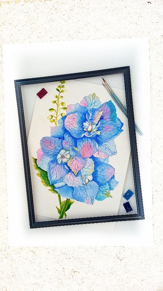 Evga_ArtLife ☕🖌️🎨 в LOOKY. #artlife,#illustration,#дельфиниум,#delphinium,#ботаника,#botany,#flowers,#цветы,#watercolorart,#акварель,#reelsart,#ilustrators,#aquarell,#art,#creation,#творчество,#vistaartista,#кисти_vistaartista. ДЕЛЬФИНИУМ.БОТАНИКА....