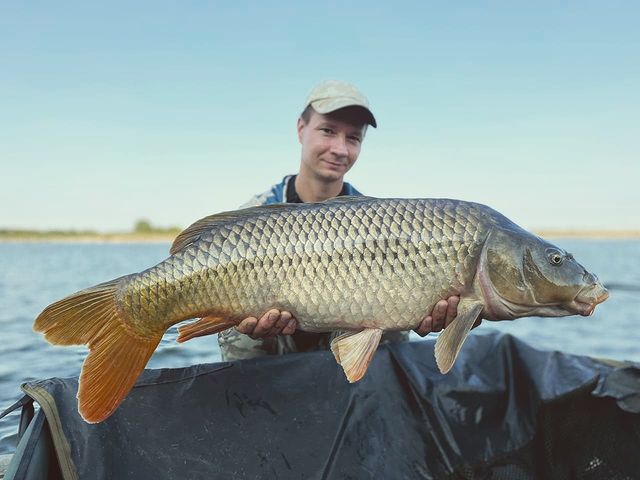 yug_fishing в LOOKY. #каневской,#карпфишинг,#Краснодар,#Кубань,#Краснодарский,#природа,#рыба,#отдых. Каневской👍 сколько ...