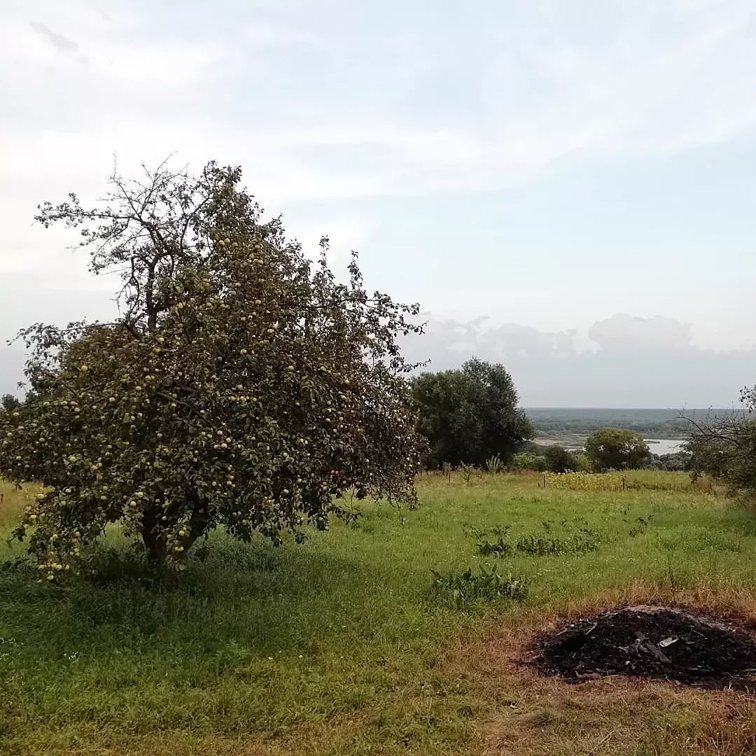 _mari.gera