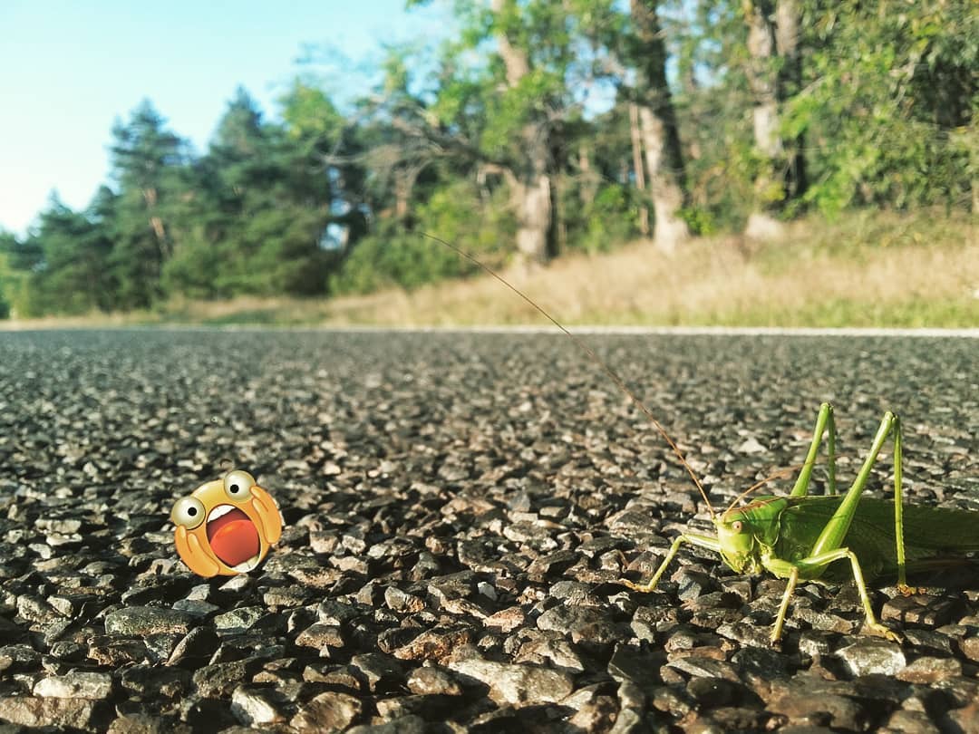 pelysupernike in LOOKY. . Не говори гоп... Пок...