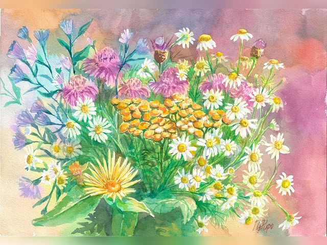katy_peper_art в LOOKY. #акварель,#акварельнаяживопись,#watercolor,#illustration,#illustrationartists,#watercolorillustration,#sammerflowers. Лето кончается, а от...