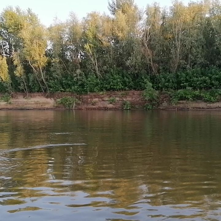 belochkaobn в LOOKY. #рекаБузан#осмотртерритории#. #рекаБузан#осмотртер...
