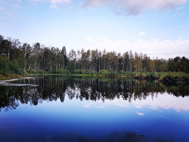 mironov_sa в LOOKY. . Открытие состоялось!