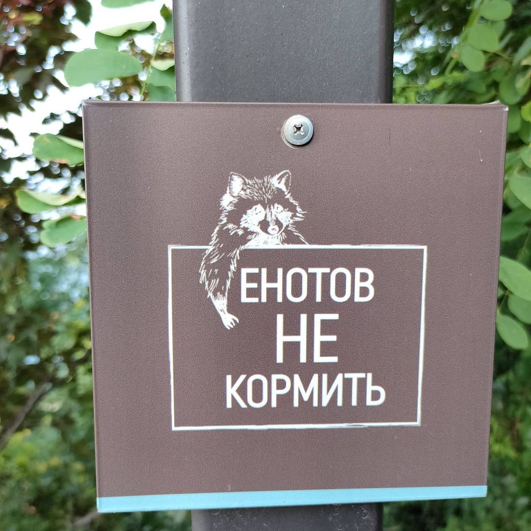 radislavrovnyakov в LOOKY — фото 2