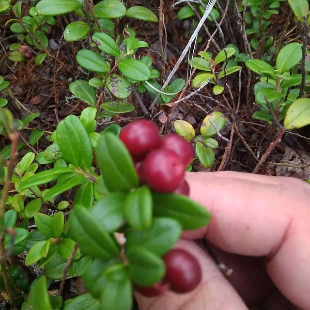 filippov_dmitriy в LOOKY. . Отон пати.Мой выходн...
