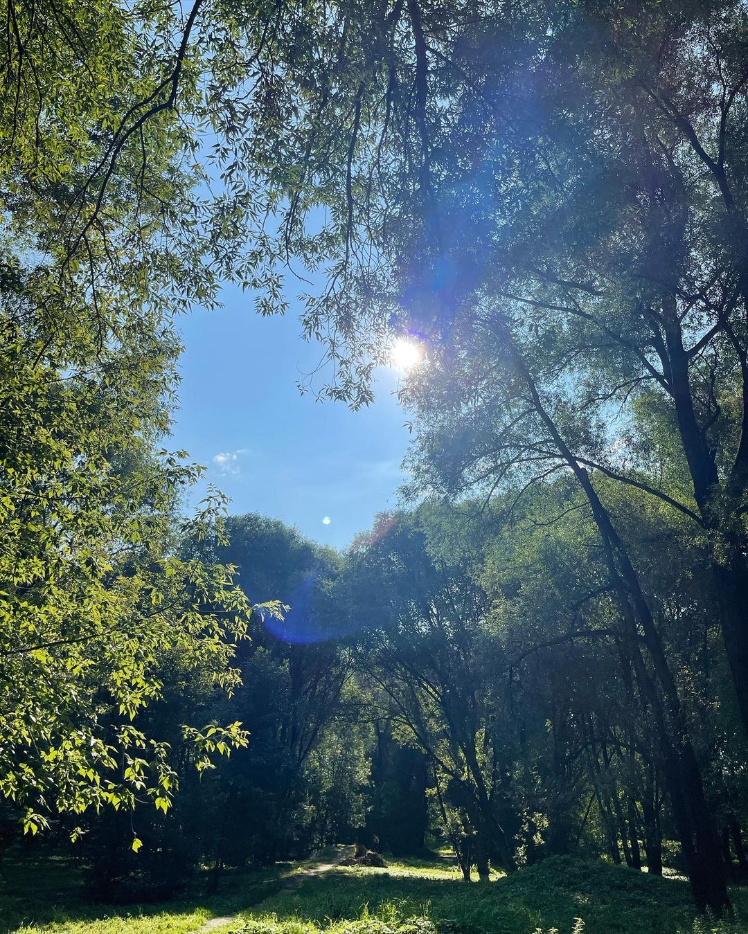 katerinalar в LOOKY — фото 1
